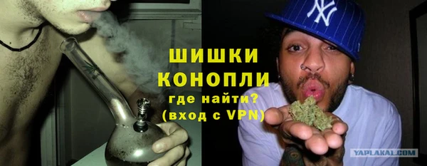 твердый Осинники