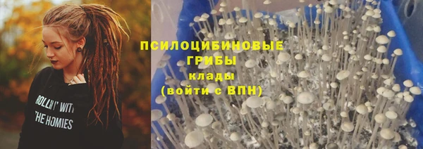 твердый Осинники