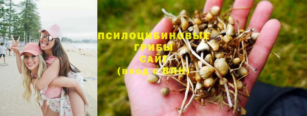 твердый Осинники