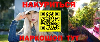 тгк Гай