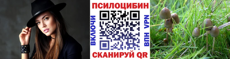 Галлюциногенные грибы мухоморы  купить  сайты  Кунгур 