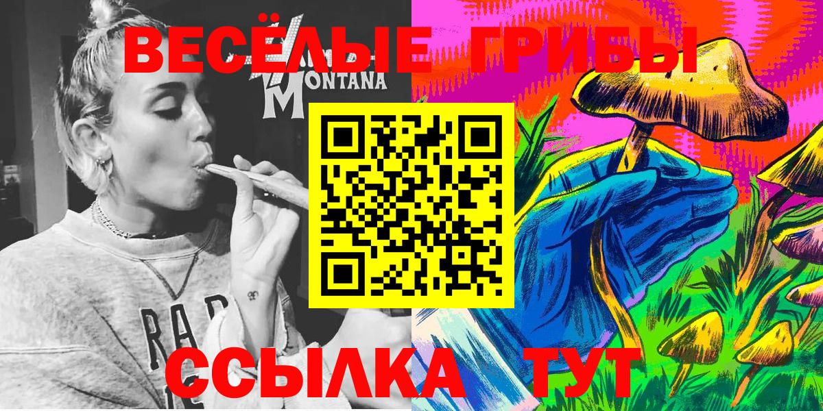 Псилоцибиновые грибы мухоморы  Вход с VPN  Кунгур 