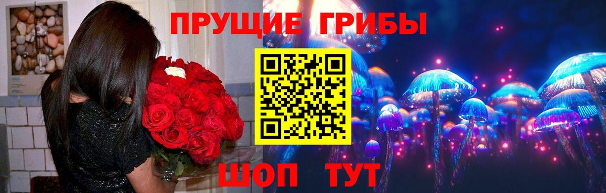 Галлюциногенные грибы прущие грибы Кунгур