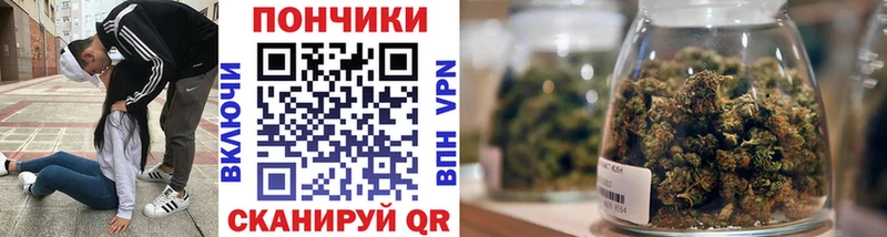 MEGA онион  Кунгур  Бошки марихуана SATIVA & INDICA 